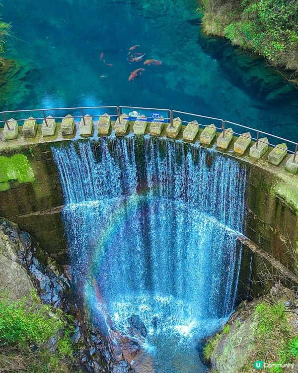 桐廬之旅，驚喜不斷！🤩 