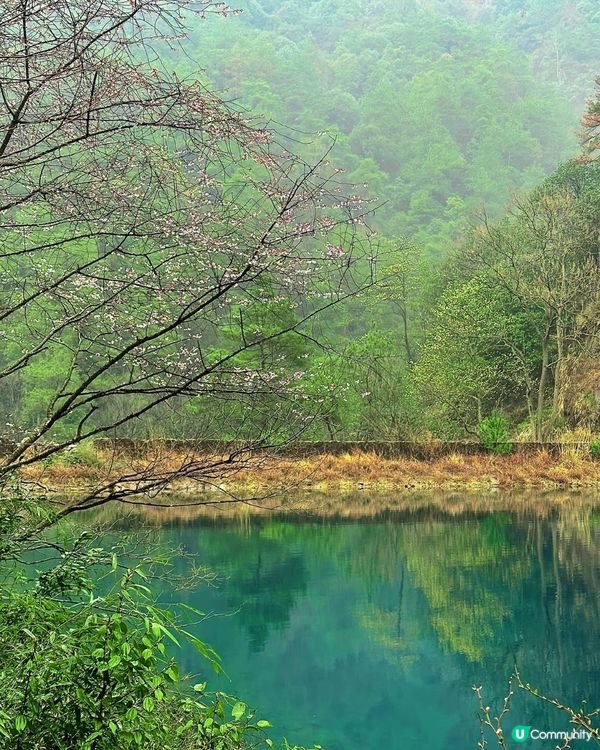 桐廬之旅，驚喜不斷！🤩 