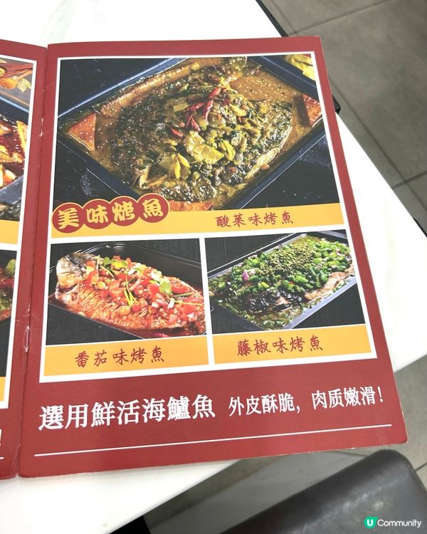 元朗撈得喜雞煲🔥 食到停唔到🤤