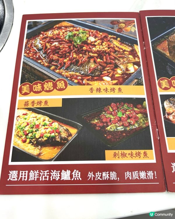 元朗撈得喜雞煲🔥 食到停唔到🤤