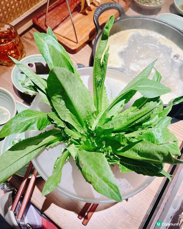 深圳脆鯇火鍋🍲！巨無霸生蠔🦪+魚肚脆到彈！食材新鮮又乾淨🫶🏻