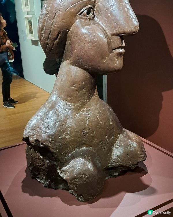 畢卡索展覽中之固體藝術品