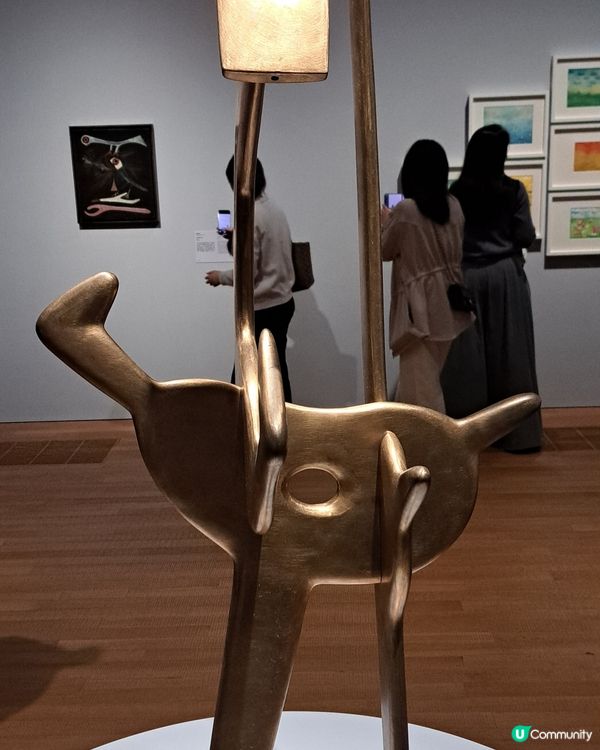 畢卡索展覽中之固體藝術品