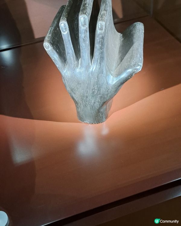 畢卡索展覽中之固體藝術品