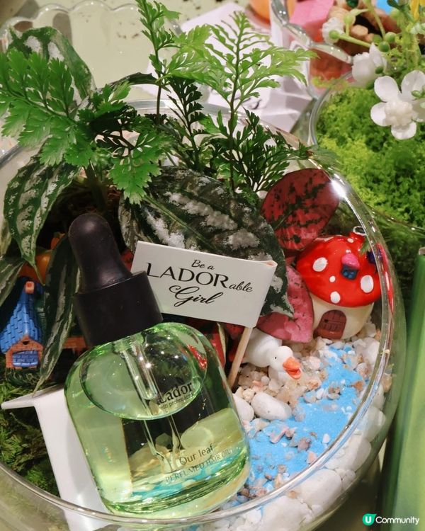 韓國髮品新成員登場！🌿✨