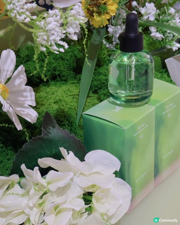 韓國髮品新成員登場！🌿✨