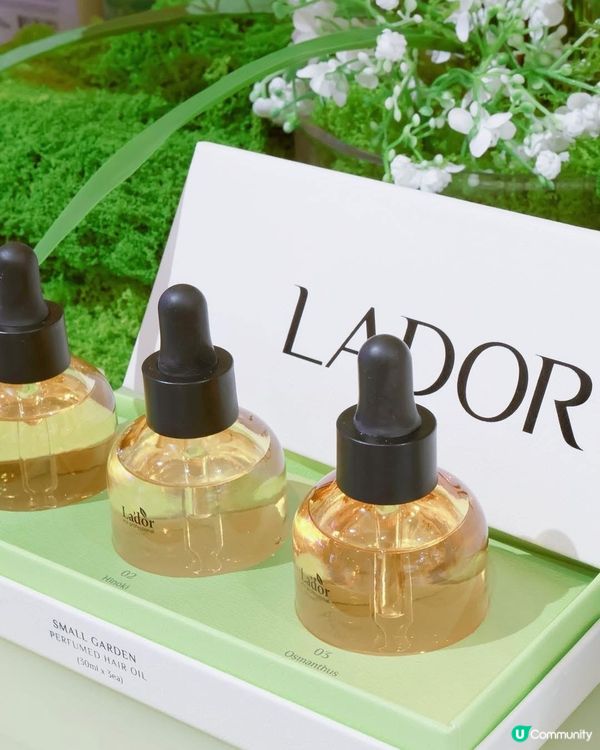 韓國髮品新成員登場！🌿✨