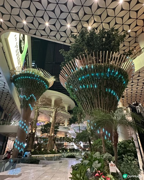 深圳🌿以森林🌳生態為題嘅新商場