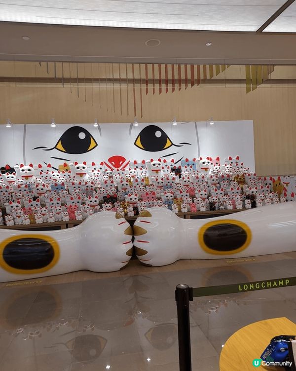 去啟德sogo弟一次見咁多招財貓，由入門口我已經見到5隻，之...