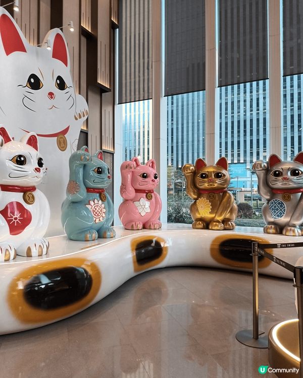 去啟德sogo弟一次見咁多招財貓，由入門口我已經見到5隻，之...