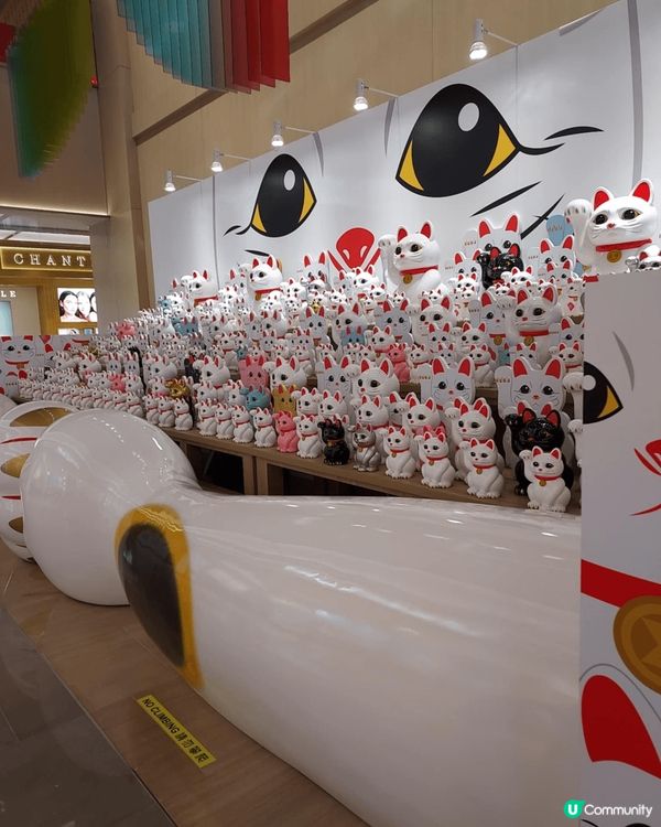 去啟德sogo弟一次見咁多招財貓，由入門口我已經見到5隻，之...