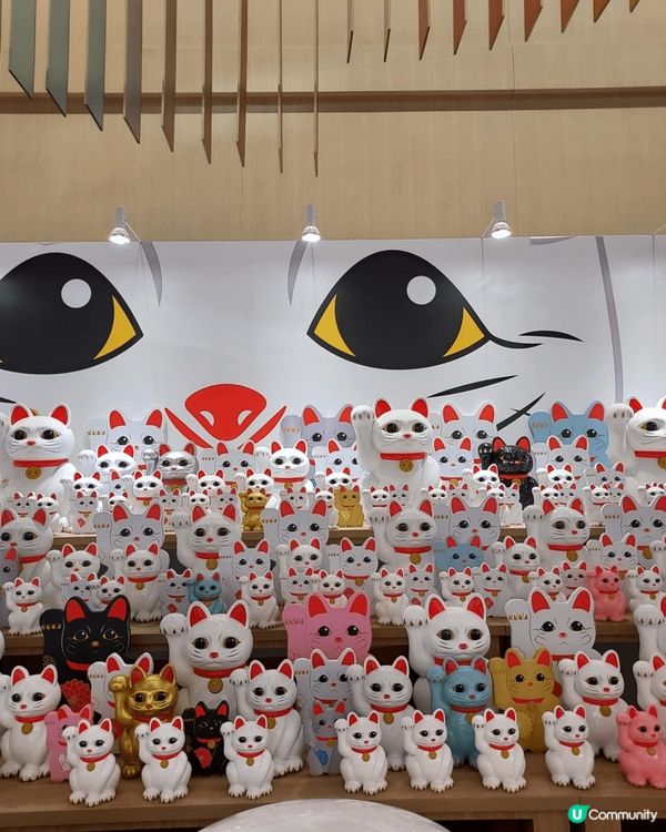 去啟德sogo弟一次見咁多招財貓，由入門口我已經見到5隻，之...