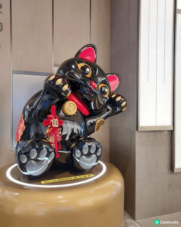 去啟德sogo弟一次見咁多招財貓，由入門口我已經見到5隻，之...