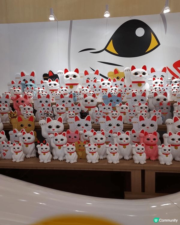 去啟德sogo弟一次見咁多招財貓，由入門口我已經見到5隻，之...