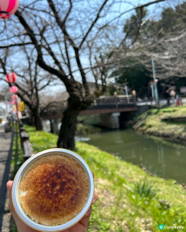 初嚐人氣雪糕 - OHAYA 焦糖Brulee雪糕