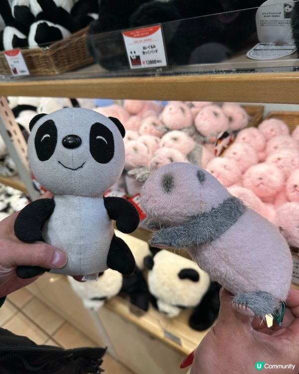 🇯🇵東京上野輕輕鬆鬆一日遊建議？🐼