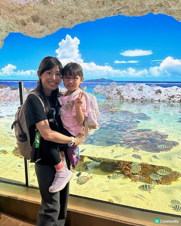 沖繩親子遊 | 2025年3月(更新) DMM Kariyushi水族館 x 全新體驗 x 親親迷你豬 - 網上買飛低至$62蚊起