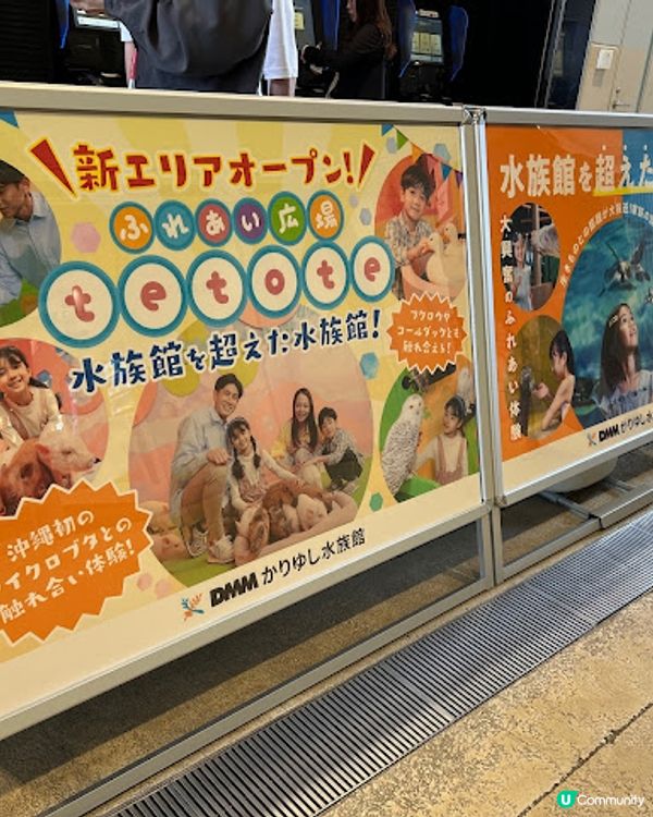 沖繩親子遊 | 2025年3月(更新) DMM Kariyushi水族館 x 全新體驗 x 親親迷你豬 - 網上買飛低至$62蚊起