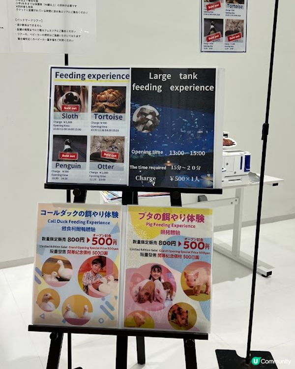 沖繩親子遊 | 2025年3月(更新) DMM Kariyushi水族館 x 全新體驗 x 親親迷你豬 - 網上買飛低至$62蚊起