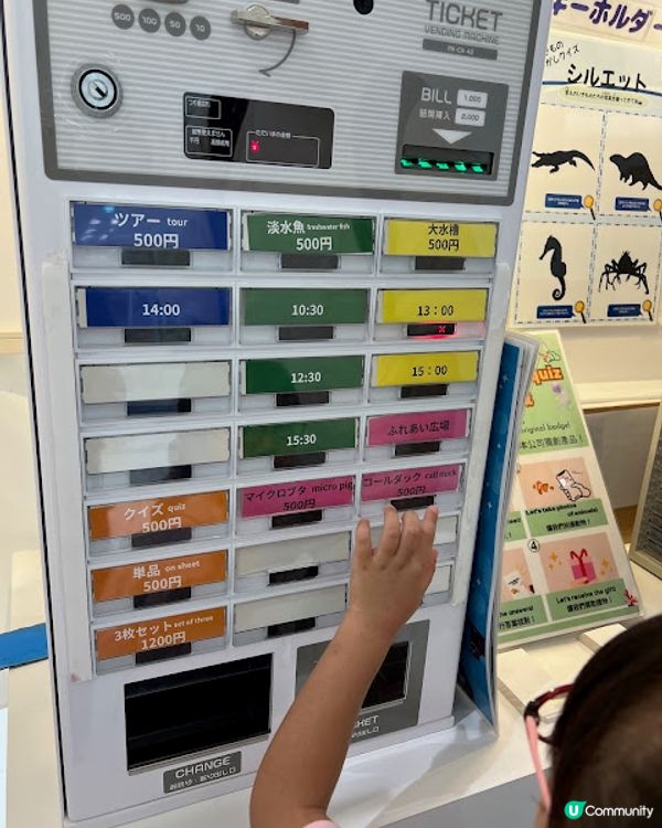 沖繩親子遊 | 2025年3月(更新) DMM Kariyushi水族館 x 全新體驗 x 親親迷你豬 - 網上買飛低至$62蚊起