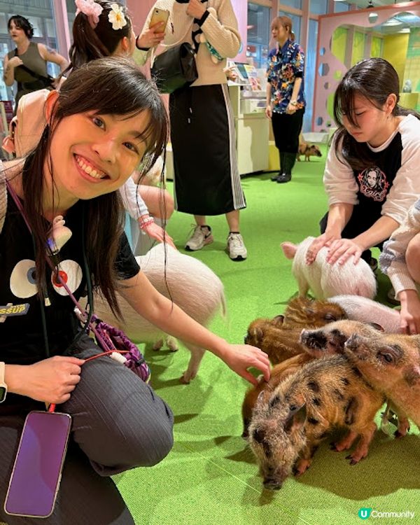 沖繩親子遊 | 2025年3月(更新) DMM Kariyushi水族館 x 全新體驗 x 親親迷你豬 - 網上買飛低至$62蚊起