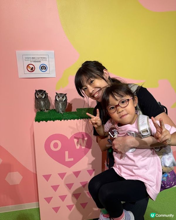 沖繩親子遊 | 2025年3月(更新) DMM Kariyushi水族館 x 全新體驗 x 親親迷你豬 - 網上買飛低至$62蚊起