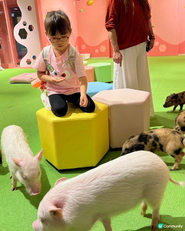 沖繩親子遊 | 2025年3月(更新) DMM Kariyushi水族館 x 全新體驗 x 親親迷你豬 - 網上買飛低至$62蚊起