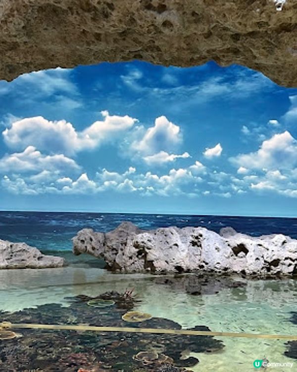 沖繩親子遊 | 2025年3月(更新) DMM Kariyushi水族館 x 全新體驗 x 親親迷你豬 - 網上買飛低至$62蚊起