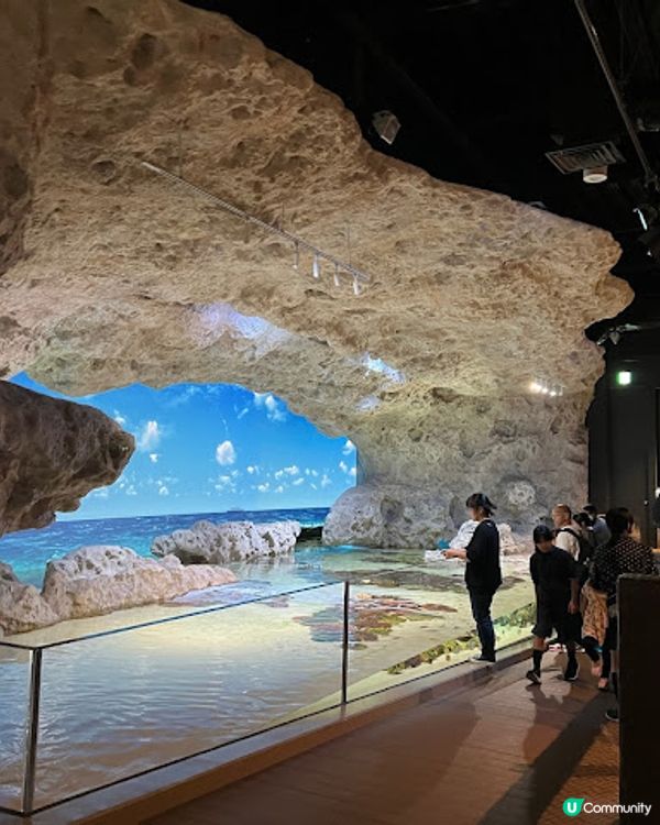 沖繩親子遊 | 2025年3月(更新) DMM Kariyushi水族館 x 全新體驗 x 親親迷你豬 - 網上買飛低至$62蚊起