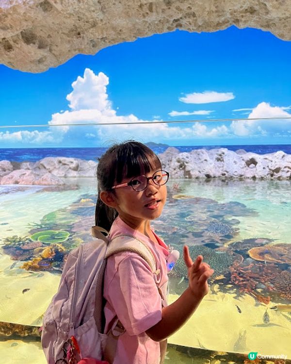 沖繩親子遊 | 2025年3月(更新) DMM Kariyushi水族館 x 全新體驗 x 親親迷你豬 - 網上買飛低至$62蚊起