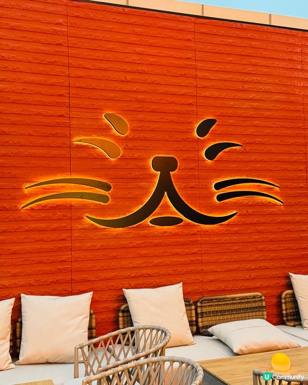 貓員外酒吧餐廳·特色手工啤🍺