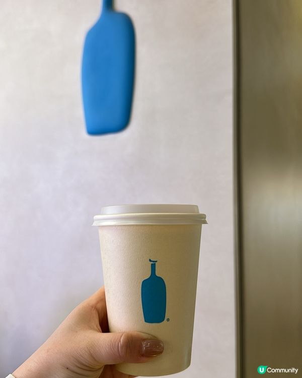 #bluebottle #sakurablossom