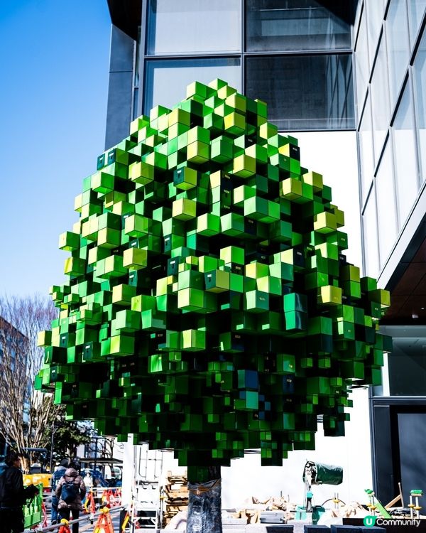 呢棵樹🌳好特別！福岡天神最新打卡點