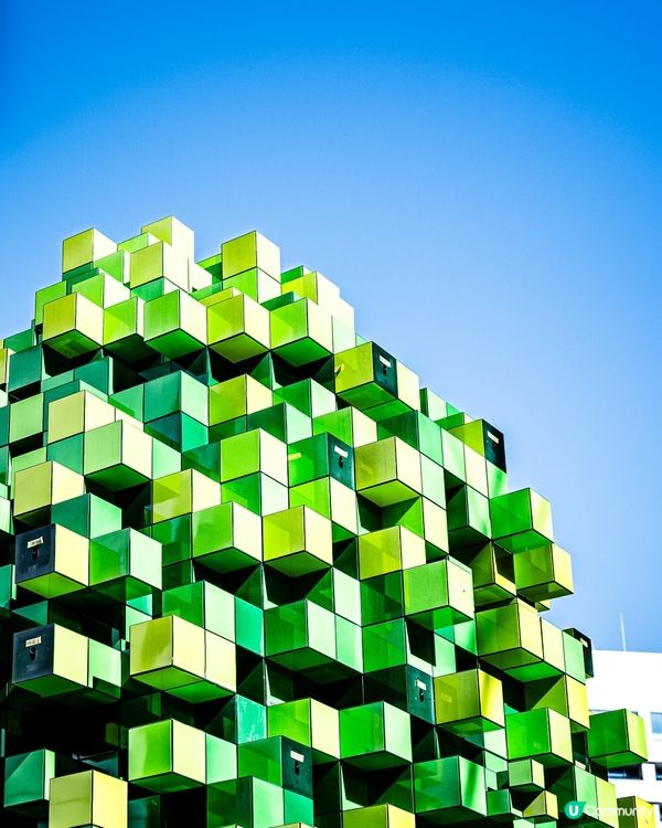 呢棵樹🌳好特別！福岡天神最新打卡點