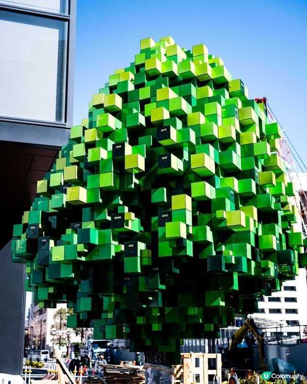 呢棵樹🌳好特別！福岡天神最新打卡點