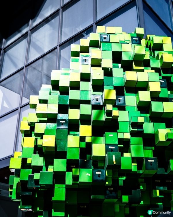 呢棵樹🌳好特別！福岡天神最新打卡點