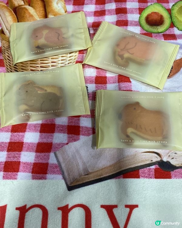 得意動物餅!歡迎關注我嘅戶口､訂閱我嘅YouTube頻道, ...