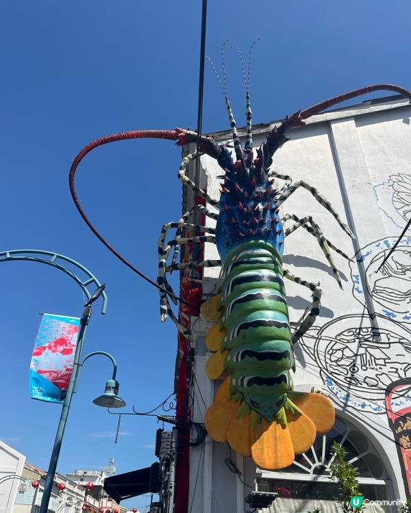 #好去處#chill#隱世打卡點#全新景點#打卡#chill...