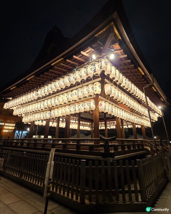 🌸京都圓山公園夜櫻 2025🌸超美枝垂樱