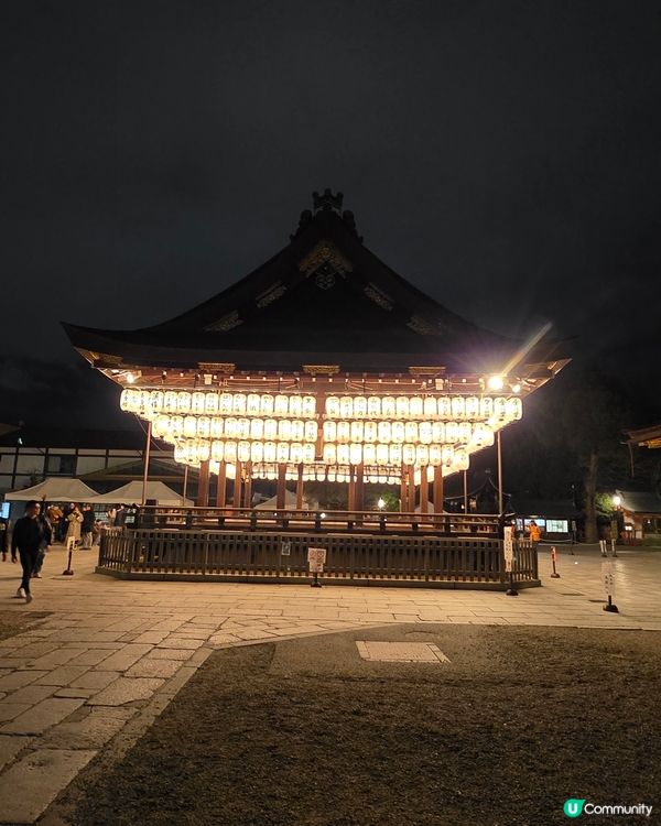 🌸京都圓山公園夜櫻 2025🌸超美枝垂樱