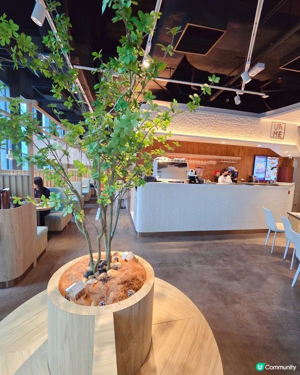 七欖完場，雙子匯食飯去！😋