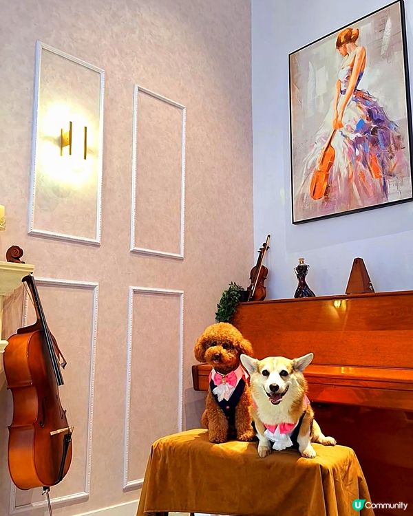 ## 法式城堡婚禮夢 🏰✨  
## 夢幻法式婚禮場地 