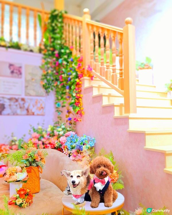 ## 法式城堡婚禮夢 🏰✨  
## 夢幻法式婚禮場地 