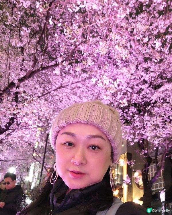 🌸我愛花花🌸之涉谷櫻丘💮櫻花坂道💮