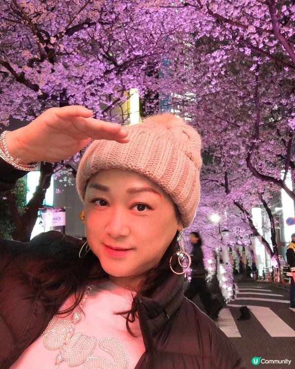 🌸我愛花花🌸之涉谷櫻丘💮櫻花坂道💮