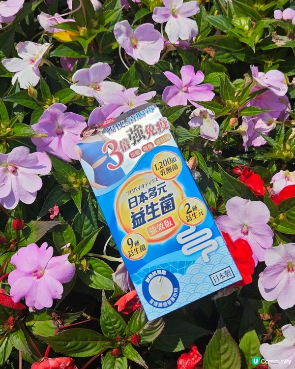 肚谷谷話唔埋😭  益生菌幫你KO宿便腩💪