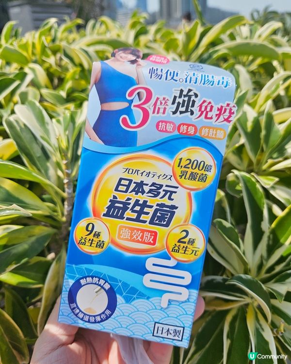 肚谷谷話唔埋😭  益生菌幫你KO宿便腩💪