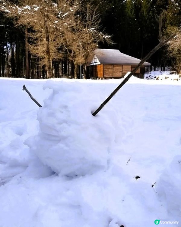 美人林  告別雪景👋
