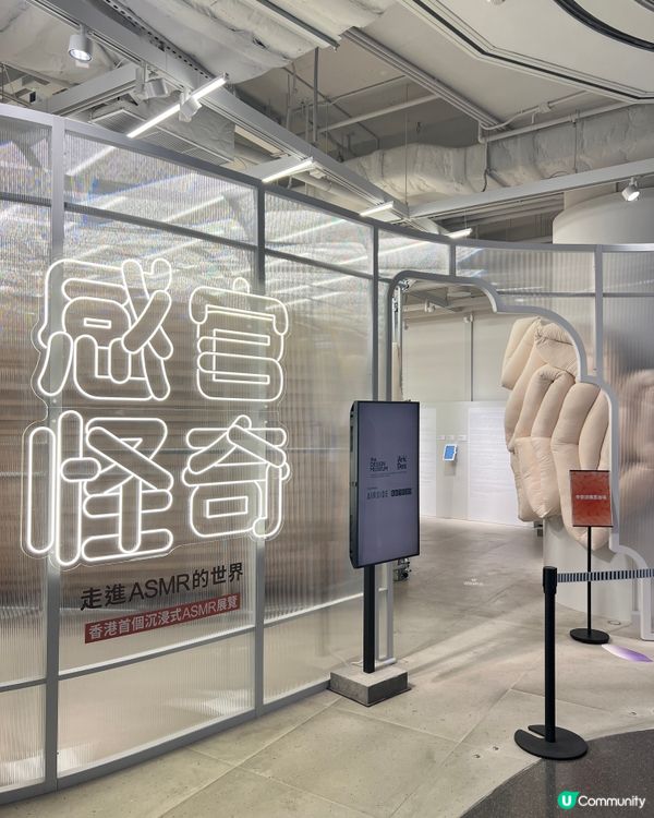 感官怪奇，放鬆之旅 🧠✨