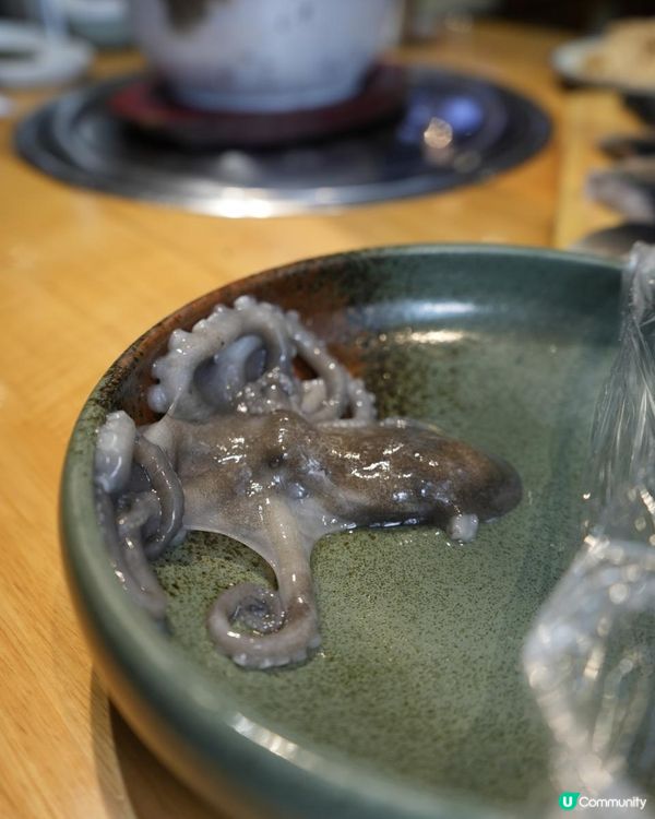 深圳人均只要不到100的炭烤活鰻